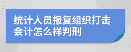 统计人员报复组织打击会计怎么样判刑