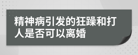 精神病引发的狂躁和打人是否可以离婚