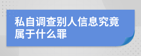 私自调查别人信息究竟属于什么罪