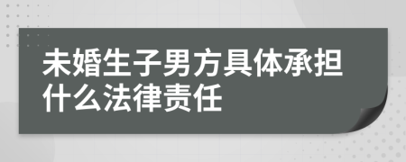 未婚生子男方具体承担什么法律责任