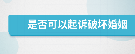 是否可以起诉破坏婚姻