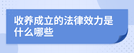 收养成立的法律效力是什么哪些