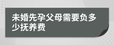 未婚先孕父母需要负多少抚养费