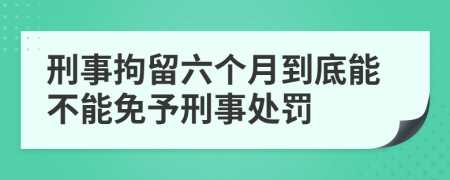 刑事拘留六个月到底能不能免予刑事处罚