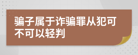 骗子属于诈骗罪从犯可不可以轻判