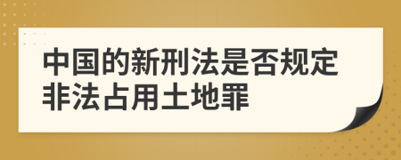 中国的新刑法是否规定非法占用土地罪