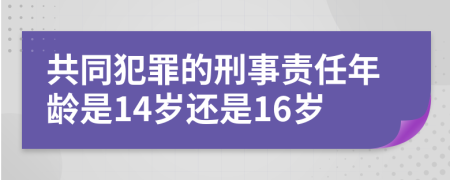 共同犯罪的刑事责任年龄是14岁还是16岁