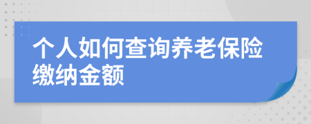 个人如何查询养老保险缴纳金额