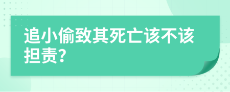 追小偷致其死亡该不该担责？