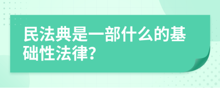 民法典是一部什么的基础性法律？