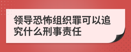 领导恐怖组织罪可以追究什么刑事责任