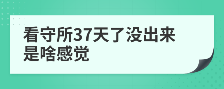 看守所37天了没出来是啥感觉