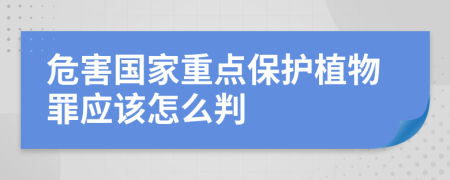 危害国家重点保护植物罪应该怎么判