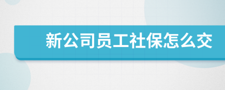 新公司员工社保怎么交