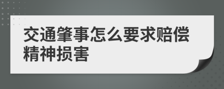 交通肇事怎么要求赔偿精神损害