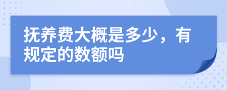 抚养费大概是多少，有规定的数额吗