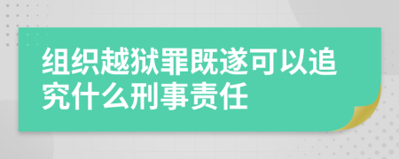 组织越狱罪既遂可以追究什么刑事责任