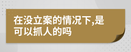 在没立案的情况下,是可以抓人的吗