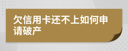 欠信用卡还不上如何申请破产