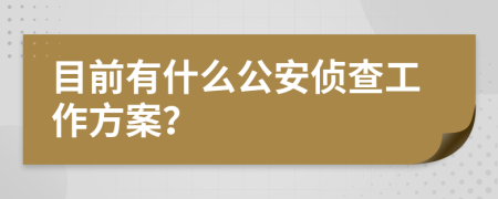 目前有什么公安侦查工作方案？