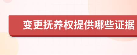 变更抚养权提供哪些证据