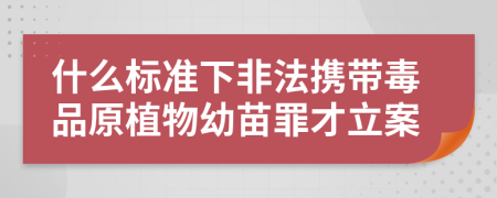 什么标准下非法携带毒品原植物幼苗罪才立案