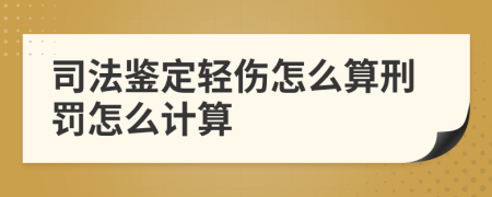 司法鉴定轻伤怎么算刑罚怎么计算