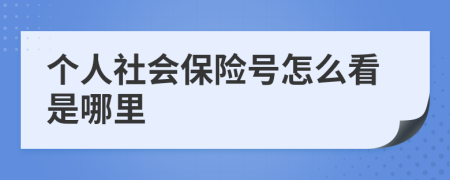 个人社会保险号怎么看是哪里