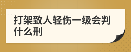 打架致人轻伤一级会判什么刑