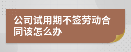 公司试用期不签劳动合同该怎么办