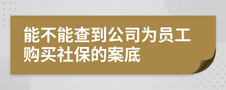 能不能查到公司为员工购买社保的案底