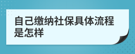 自己缴纳社保具体流程是怎样