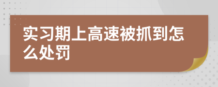 实习期上高速被抓到怎么处罚