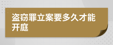 盗窃罪立案要多久才能开庭