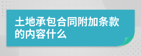 土地承包合同附加条款的内容什么