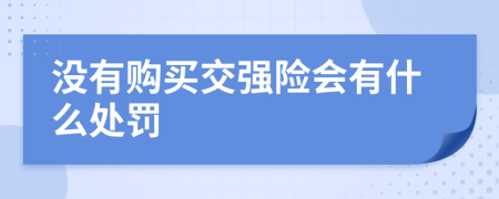没有购买交强险会有什么处罚