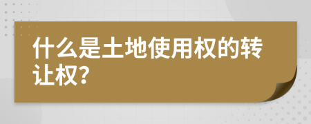 什么是土地使用权的转让权？