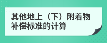 其他地上（下）附着物补偿标准的计算