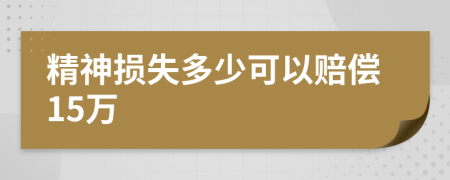 精神损失多少可以赔偿15万