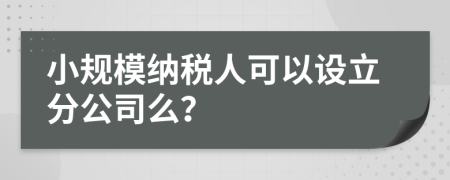 小规模纳税人可以设立分公司么？