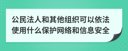 公民法人和其他组织可以依法使用什么保护网络和信息安全