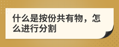 什么是按份共有物，怎么进行分割