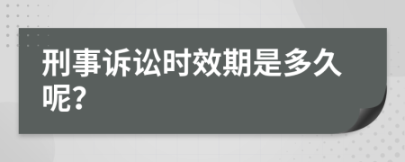 刑事诉讼时效期是多久呢？