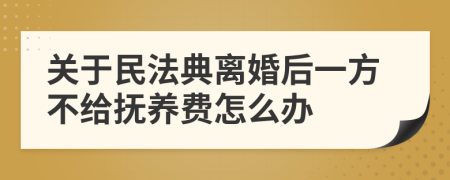 关于民法典离婚后一方不给抚养费怎么办