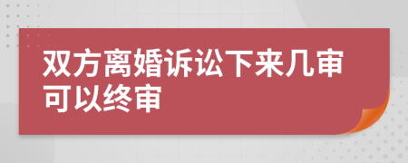 双方离婚诉讼下来几审可以终审