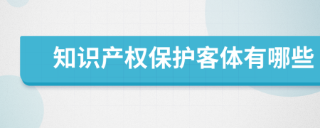 知识产权保护客体有哪些