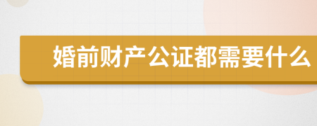 婚前财产公证都需要什么