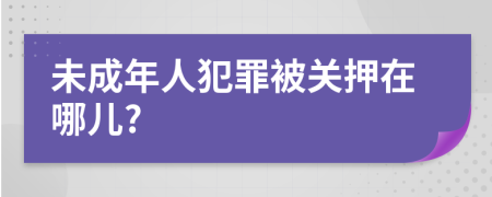 未成年人犯罪被关押在哪儿?
