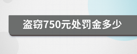 盗窃750元处罚金多少