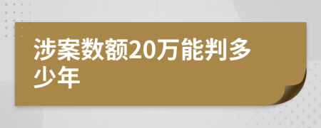 涉案数额20万能判多少年